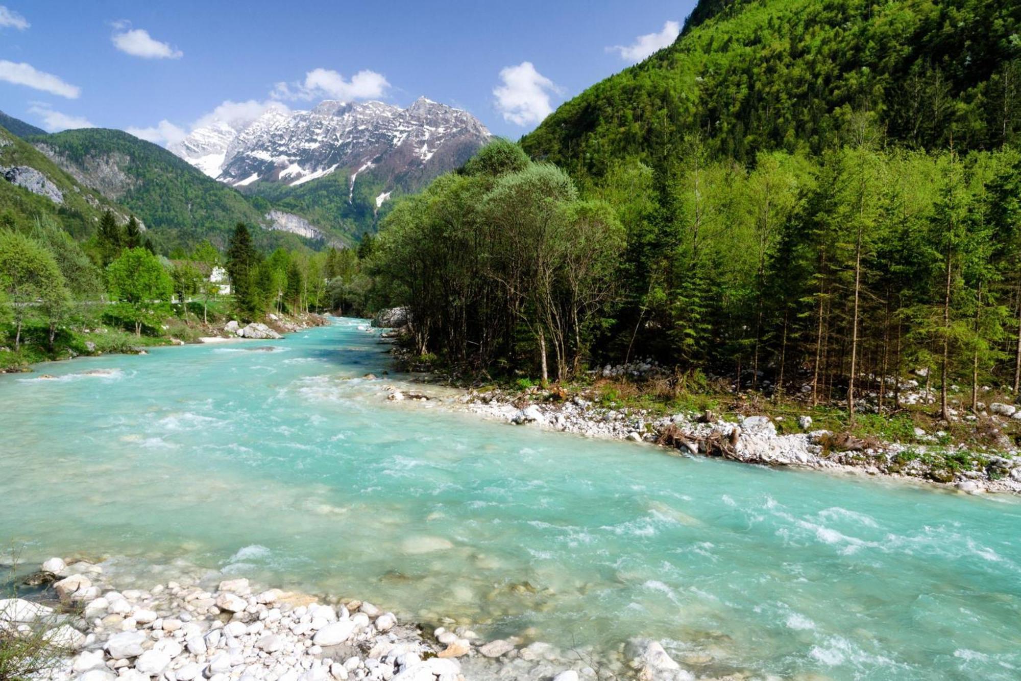 House By The Stream - Happy Rentals Avce Екстер'єр фото