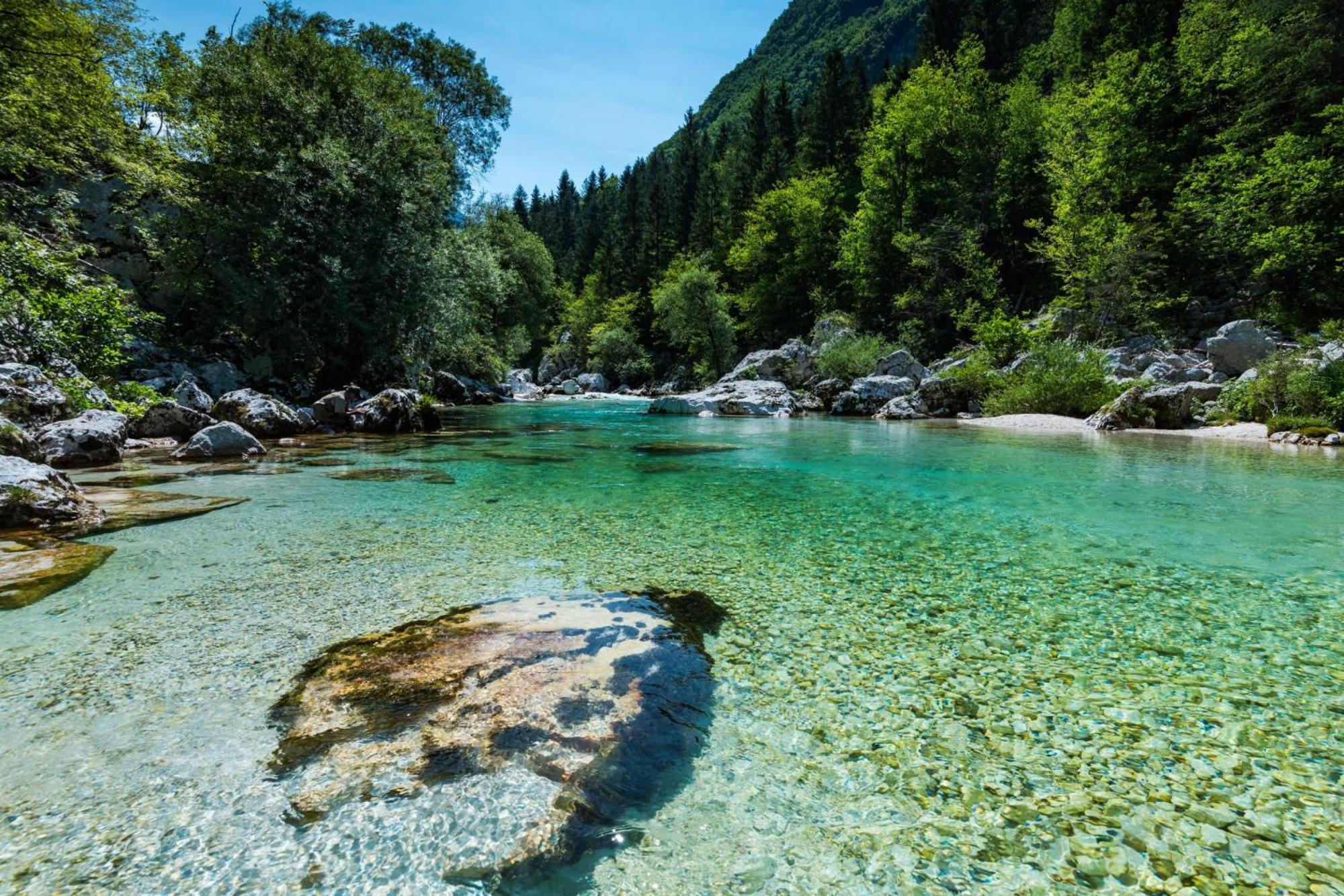 House By The Stream - Happy Rentals Avce Екстер'єр фото