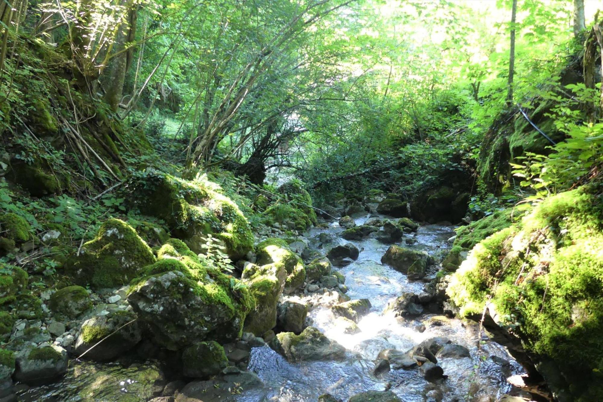 House By The Stream - Happy Rentals Avce Екстер'єр фото