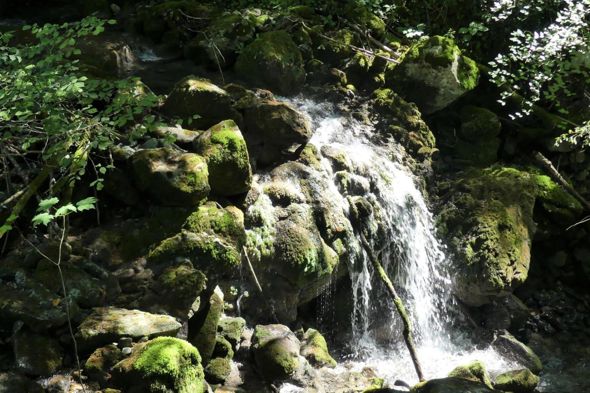 House By The Stream - Happy Rentals Avce Екстер'єр фото
