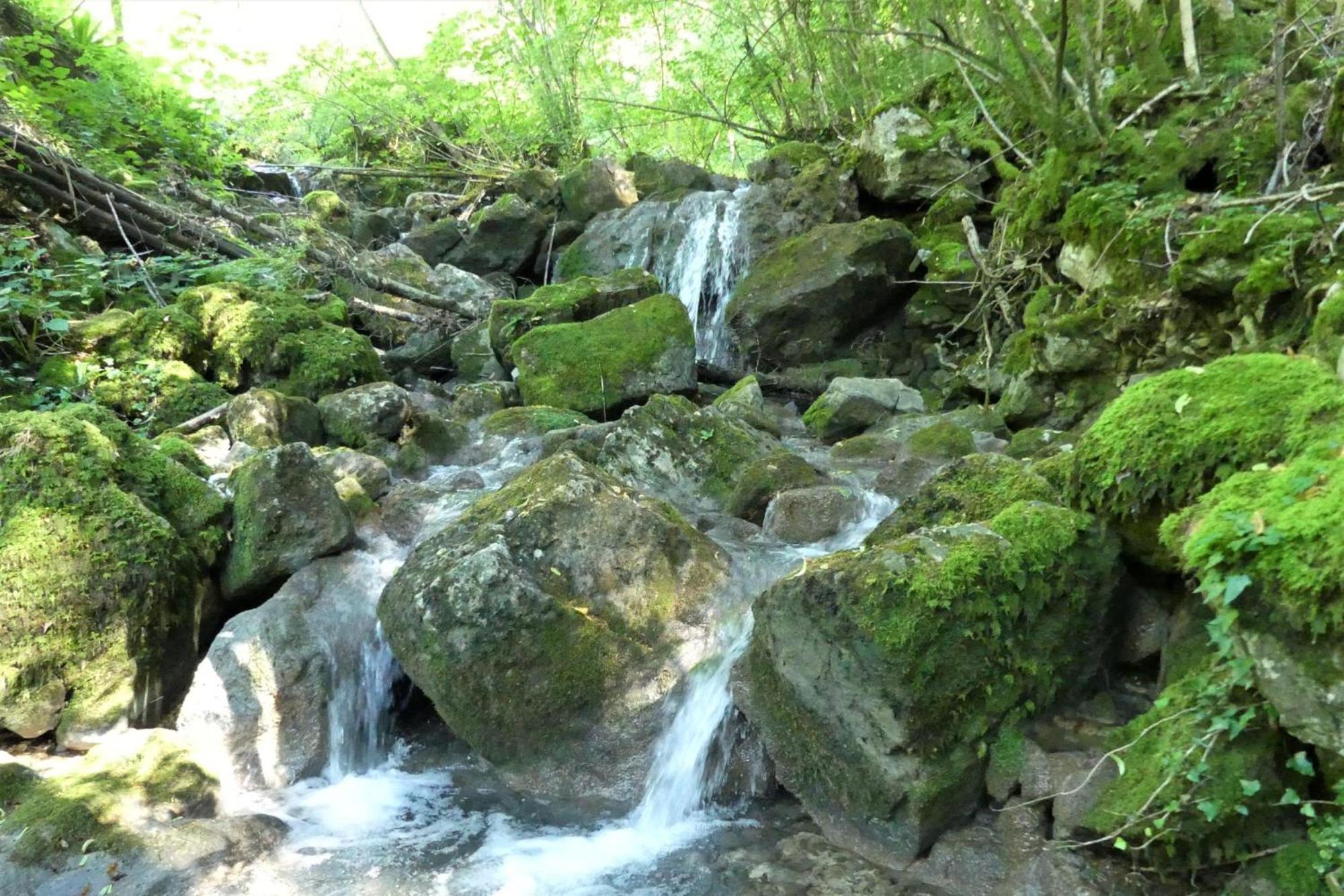 House By The Stream - Happy Rentals Avce Екстер'єр фото