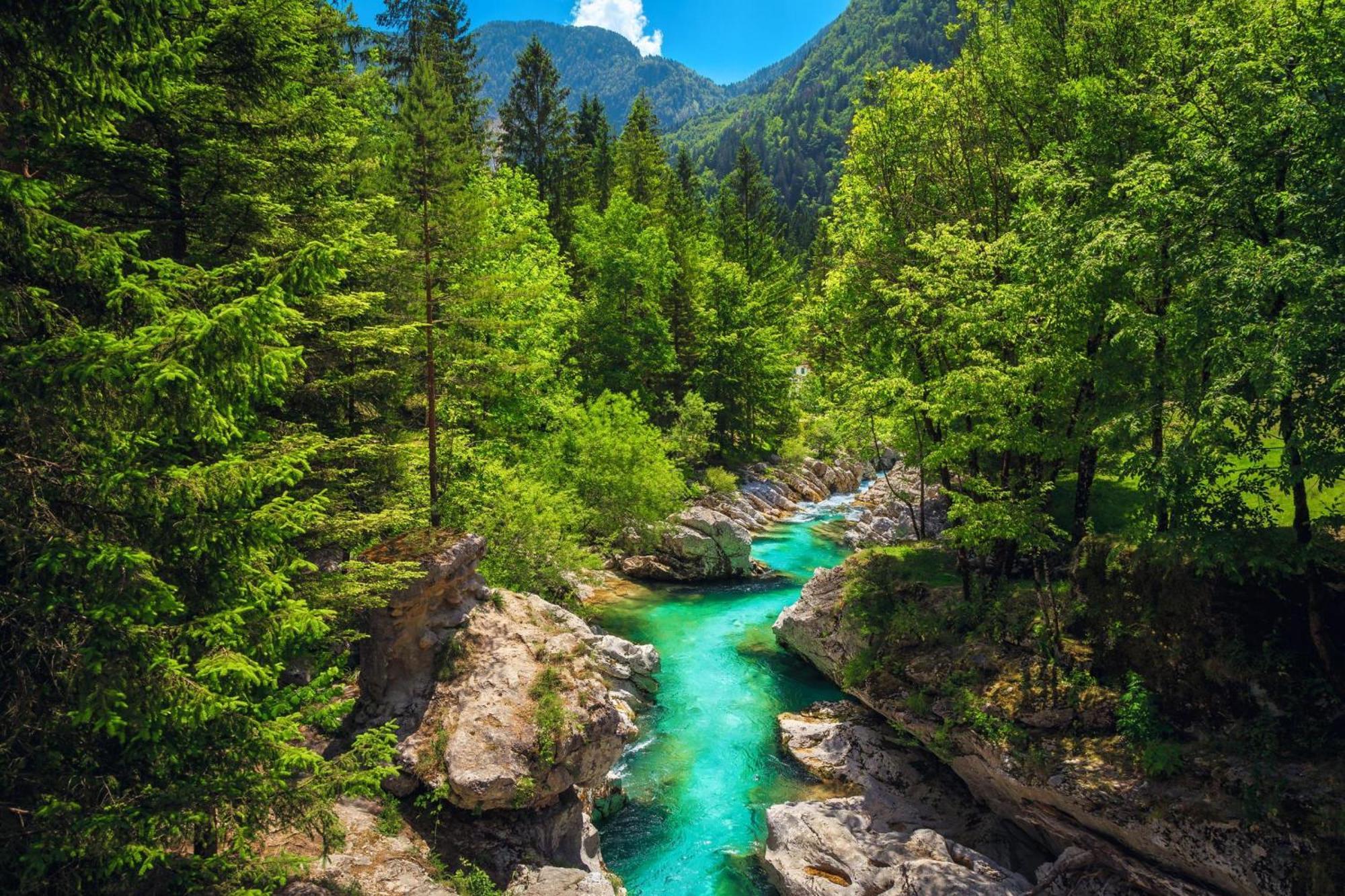 House By The Stream - Happy Rentals Avce Екстер'єр фото